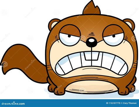 Cartoon Squirrel Angry Stock Vector Illustration Of Angry 116107770