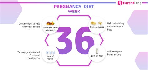 36th Week Of Pregnancy Diet Recommendations