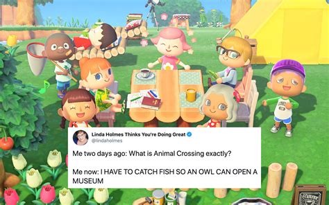 Animal Crossing All The Best Memes About New Horizons