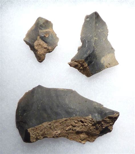 Linear Pottery Culture European Neolithic Stone Tools Flint Artifacts