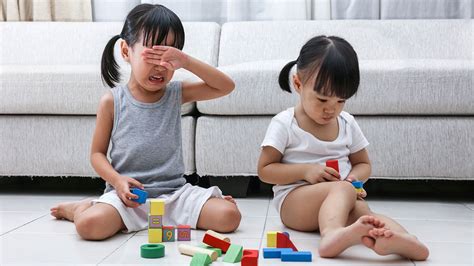 Check spelling or type a new query. Sibling fights: how to handle them | Raising Children Network