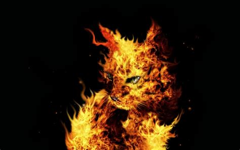 Flames #padhaiaurpyaar is the story of a young romance unfolding as a chemical reaction. Hd Wallpapers Blog: Cool Flames Wallpapers