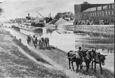 Mule Teams Pull Canal Boats Along The Erie Canal Towpath In Clyde Which Was Part Of Old Dewitt