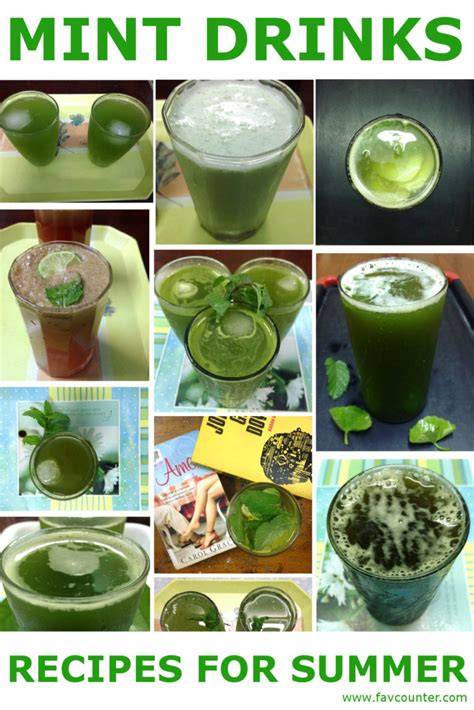 10 Most Delicious Mint Leaves Drinks Recipes For Summer