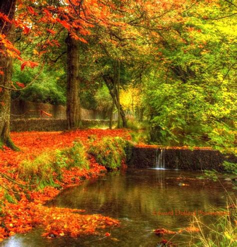Pin By Kathleen Snyder On Ireland Autumn Scenery County Kilkenny