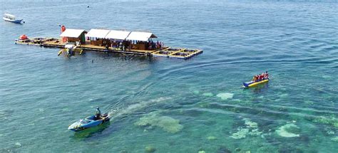 Laut merah atau laut teberau adalah sebuah teluk di sebelah barat jazirah arab yang memisahkan benua asia dengan afrika. Banyuwangi Underwater Festival Dibuka Pagi Ini