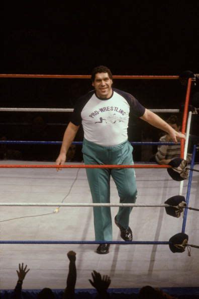 10 Crazy Facts You Didnt Know About Andre The Giant Andre The Giant