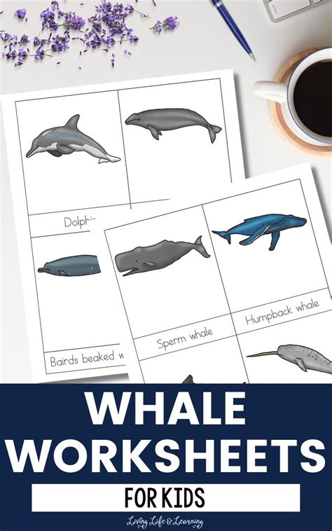 Whale Worksheets For Kids