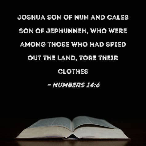 Numbers 146 Joshua Son Of Nun And Caleb Son Of Jephunneh Who Were