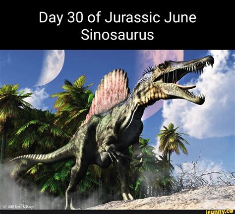 Day 30 Of Jurassic June Sinosaurus Ifunny