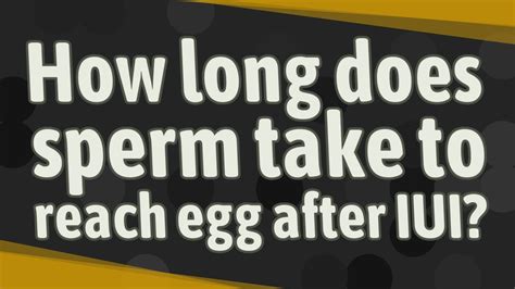 How Long Does Sperm Take To Reach Egg After Iui Youtube