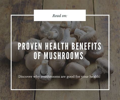 Proven Health Benefits Of Mushrooms Healthy Habits