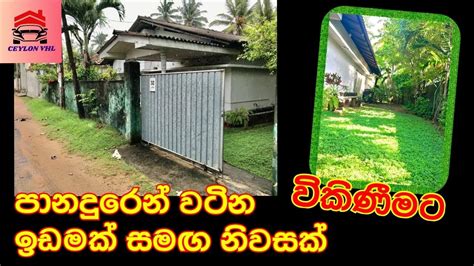 Valuable Land And House For Sale In Panadura Town Youtube