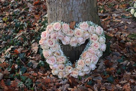 Heart Shaped Sympathy Flowers Stock Photo Image Of Rose Shaped