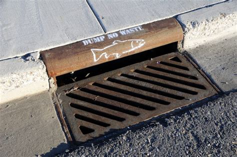 Storm Drain Traps 4 Point Guide About Use And Why Needed
