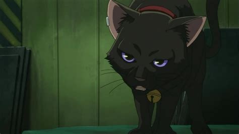 70 Best Anime Cats Of All Time The Ultimate Feline List