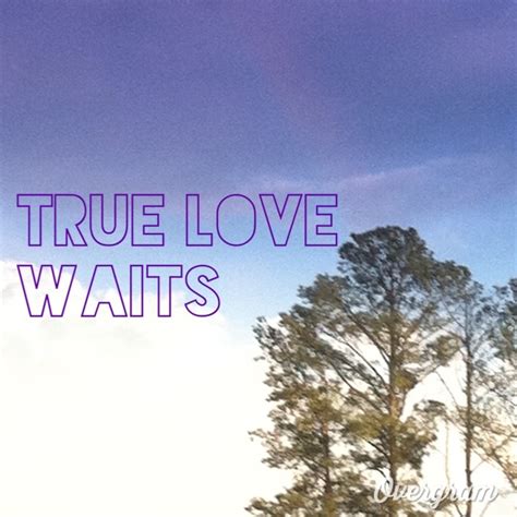True Love Waits Sayings Pinterest