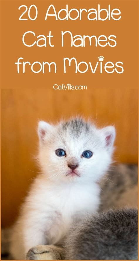 20 Sweet Cat Names From Movies To Inspire You Kitten Names Unique