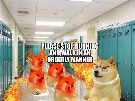 Le school fire rules has arrived : dogelore
