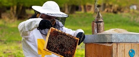 Bee Supplies Honey Honey Bees For Sale Bee Well Honey Farm