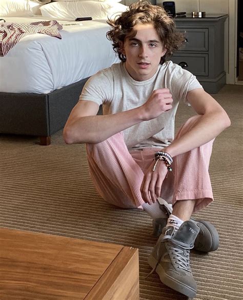 Pin By Lucy Roberts On Timothée Chalamet In 2020 Timothee Chalamet