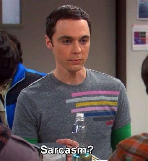 The Big Bang Theory Tbbt Sheldon Cooper Sarcasm Mood Meme Reaction