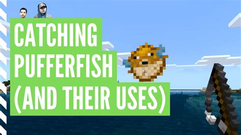 How to catch a puffer fish in minecraft and how to fish tips. How To Get Pufferfish In Minecraft