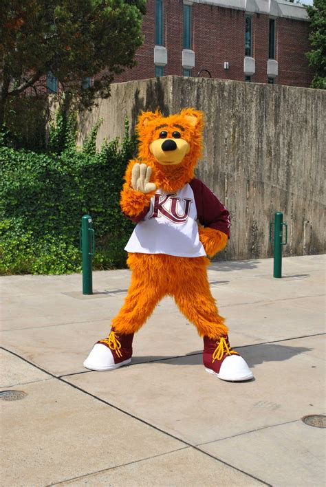Mascots Play A Key Role In College Sporting Events