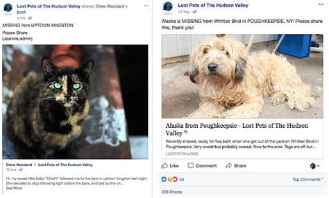 Traveling with your pet to hawaii may seem like a fun idea, but chances are you have no idea of what you're getting into. Lost (and Found) Pets of the Hudson Valley | Halter ...
