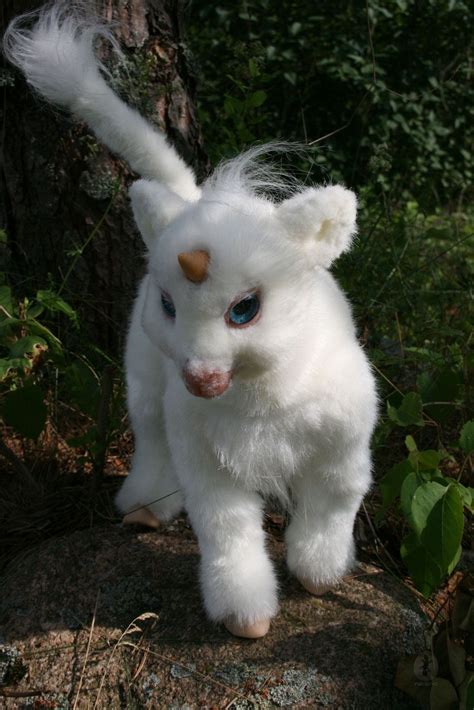 Show Me A Picture Of A Real Baby Unicorn Profile Picture