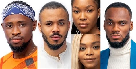 Ene, nena, vine, ini, peter, dupeh, chuke, sugar kay, sanny, berrie, eselicious, deolarh, . BBNaija: Meet the First Ten Big Brother Naija Season 5 ...