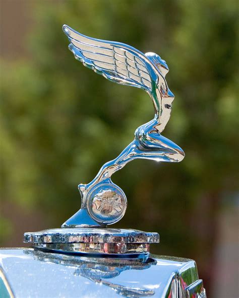 Vintage Art Prints Available From Roadside Gallery Hood Ornaments
