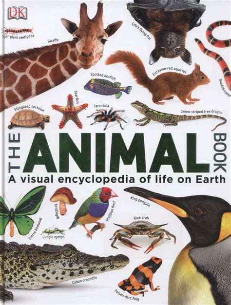 The Animal Book A Visual Encyclopedia Of Life On Earth By Dk