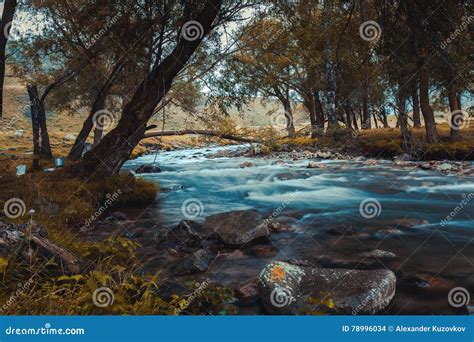 Mountain River Flowing Among Mossy Stones Through The Colorful Forest