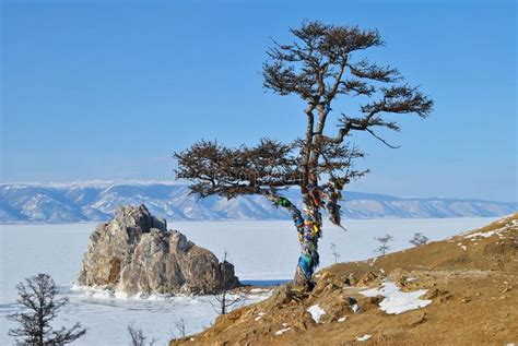 A Sacred Tree On The Island Of Olkhon Lake Baikal Baikal Landscape