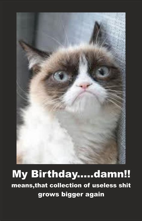 14 Happy Birthday Grumpy Cat Meme Woolseygirls Meme