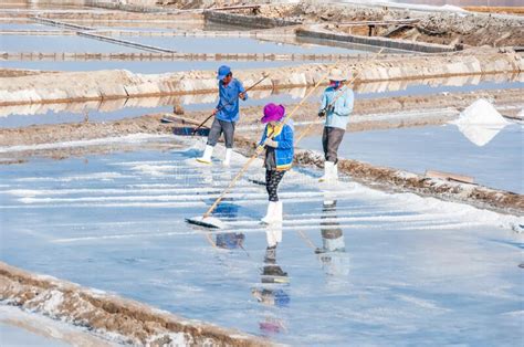 Salt Making In Vietnam Editorial Stock Image Image Of Producer 250448419