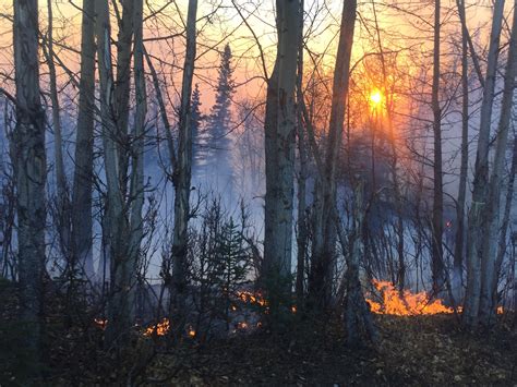 Late Season Fire Burning Near Sutton Alaska Public Media