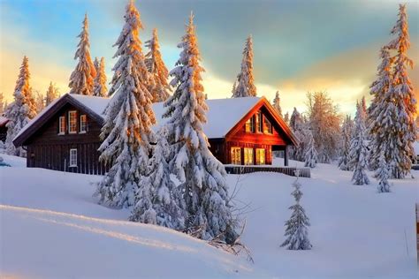House In Winter Forest