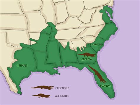 Wikihow Map Comparing Range Of Alligators And Crocodiles Rdataisugly