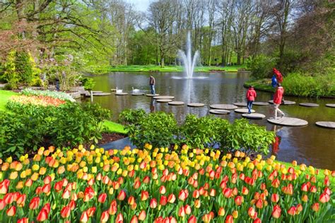 Keukenhof Tulip Gardens Amsterdam Holland Opening Hours Prices