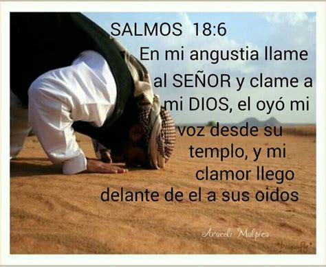 Salmos 186 En Mi Angustia Llame Al SeÑor Y Clame A Mi Dios El OyÓ Mi