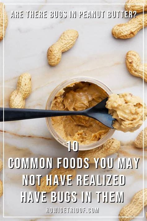 Are There Bugs In Peanut Butter 10 Common Foods That May Have Bugs In