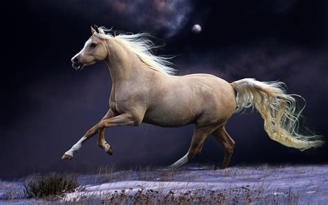 2880x1800 Horse Mane Running Macbook Pro Retina Wallpaper Hd Animals