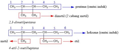 Tata Nama Senyawa Alkana Alkena Alkuna Materi Kimia