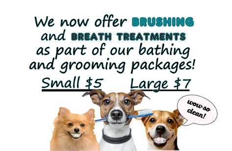 Happy tails provides a variety of services that can accommodate any type of pet sitting needs. Happy Tails Grooming and Boarding - Home
