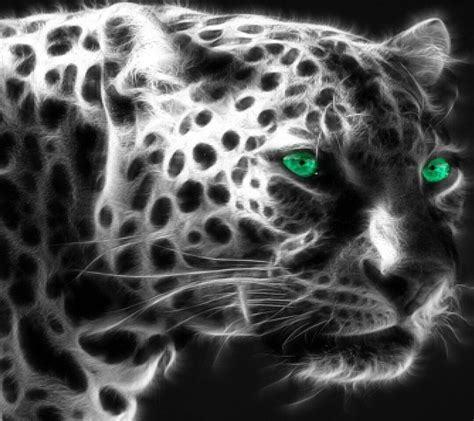 Leopards Big Cats Panther Lions Animals Lion Animales Animaux