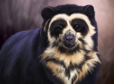 Spectacled Bear By Dyewind On Deviantart