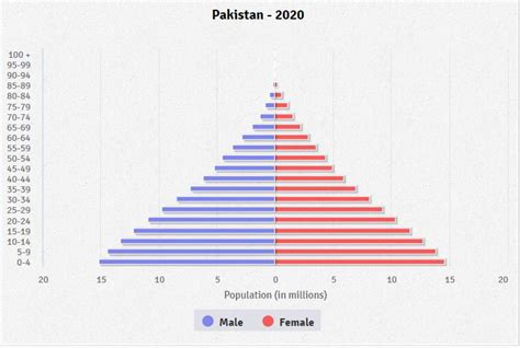 Pakistan Age Structure Demographics