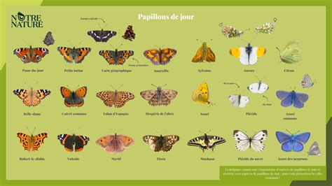 Quels Papillons Vivent Dans Votre Jardin Notre Nature